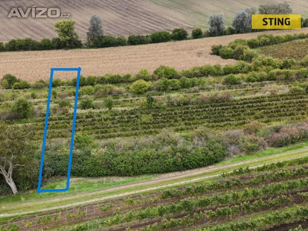 Foto inzerátu Prodej, Pozemky zemědělské a lesní, 3674 m2