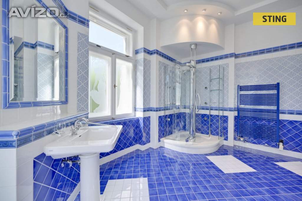 Foto inzerátu Prodej, Vila/Rezidence, 700 m2