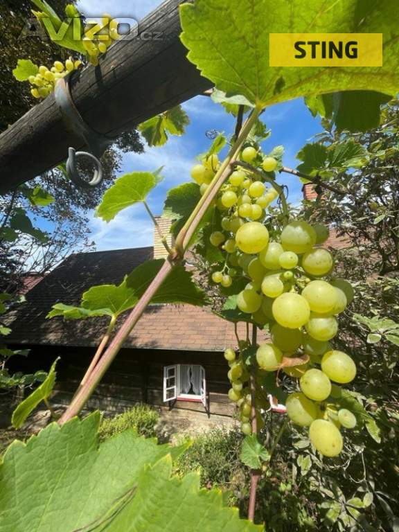 Foto inzerátu Prodej, chalupa, 170 m2