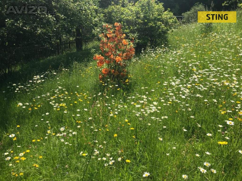Foto inzerátu Prodej, chalupa, 170 m2