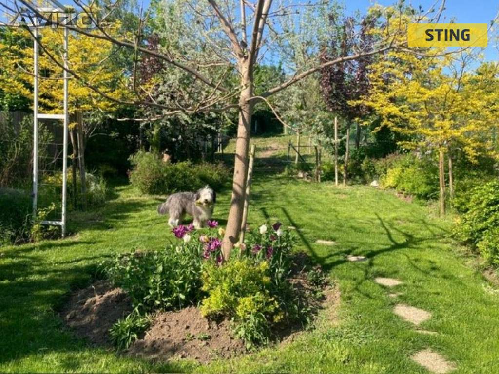 Foto inzerátu Pronájem, Rodinný dům, 204 m2