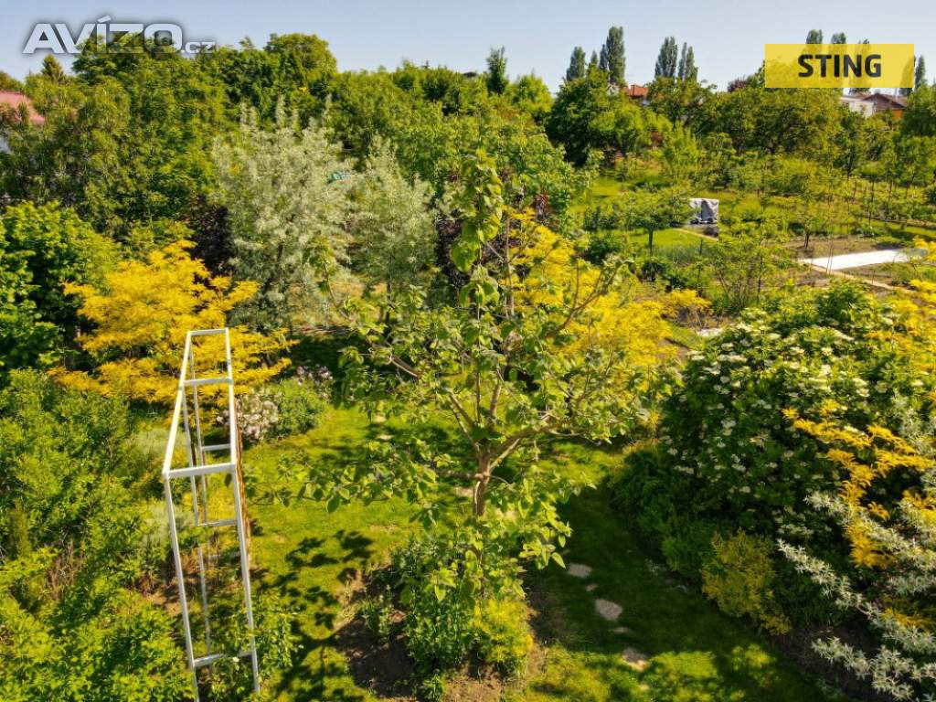 Foto inzerátu Pronájem, Rodinný dům, 204 m2