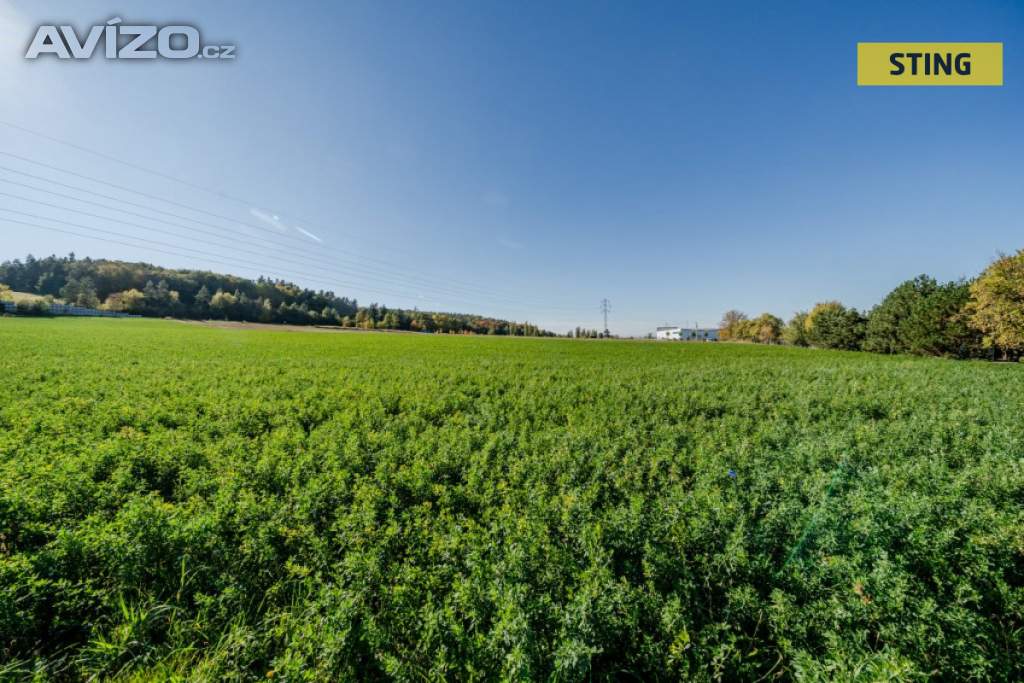 Foto inzerátu Prodej, Pozemky pro bydlení, 4000 m2