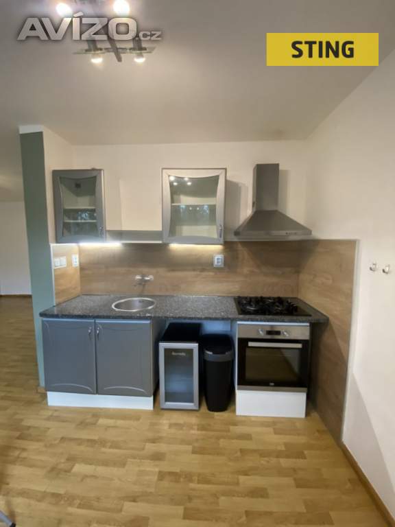 Pronájem, byt 1+kk, 45 m2