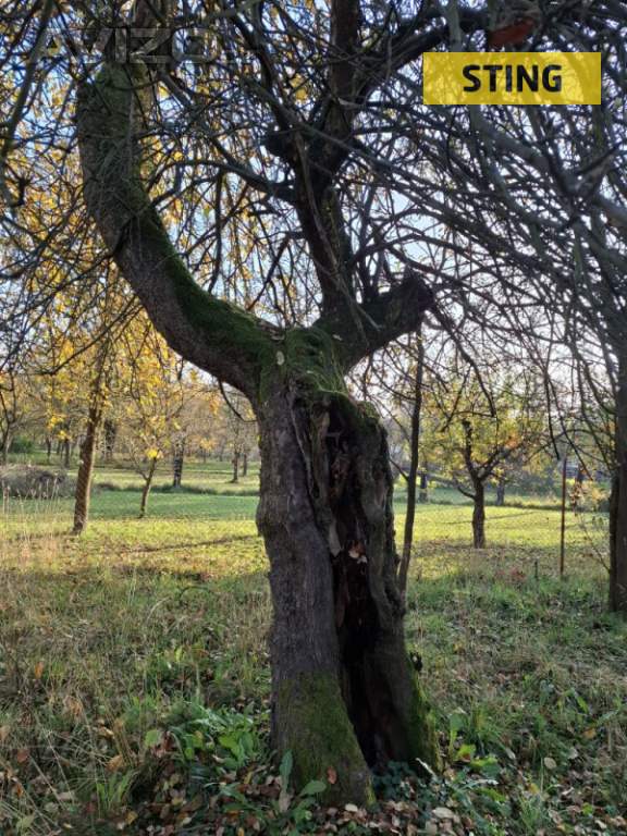 Foto inzerátu Prodej