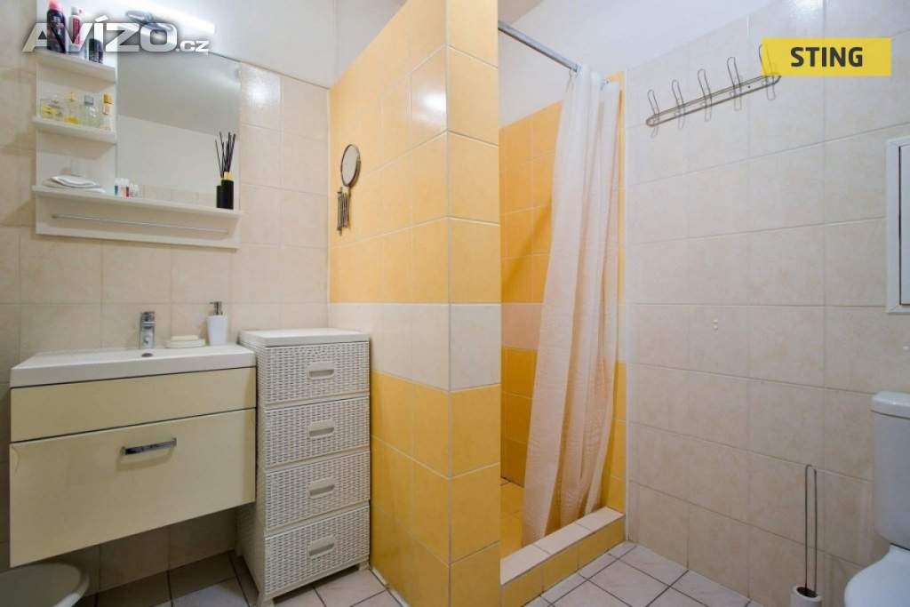 Foto inzerátu Pronájem, byt 1+1, 43 m2