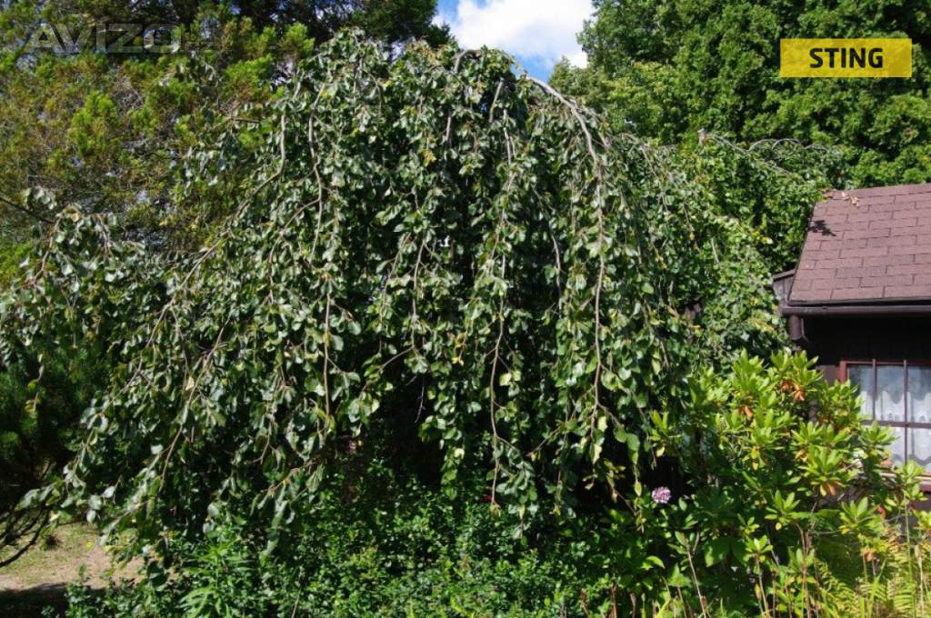 Foto inzerátu Prodej, chata, 11 m2