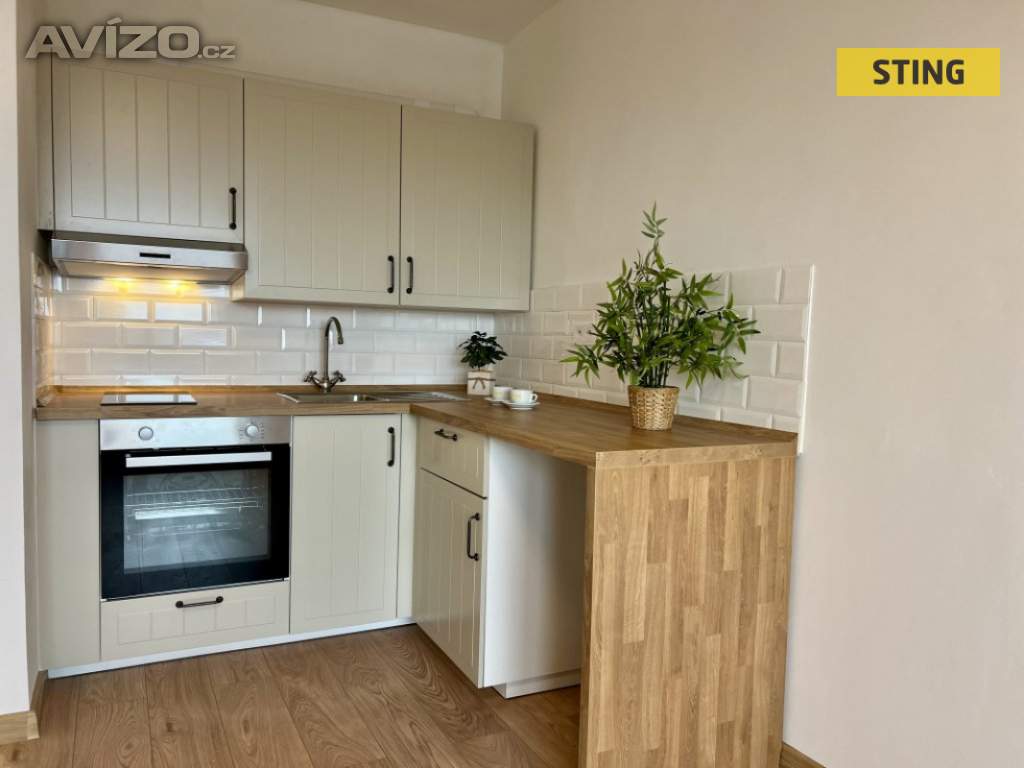 Pronájem, byt 1+kk, 35 m2