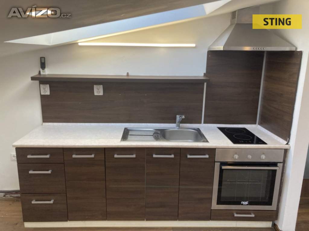 Foto inzerátu Pronájem, byt 1+kk, 47 m2