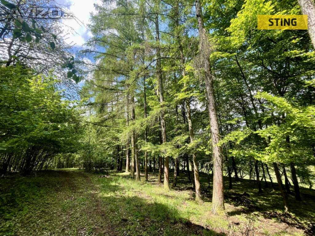Foto inzerátu Prodej, Pozemky zemědělské a lesní, 16440 m2