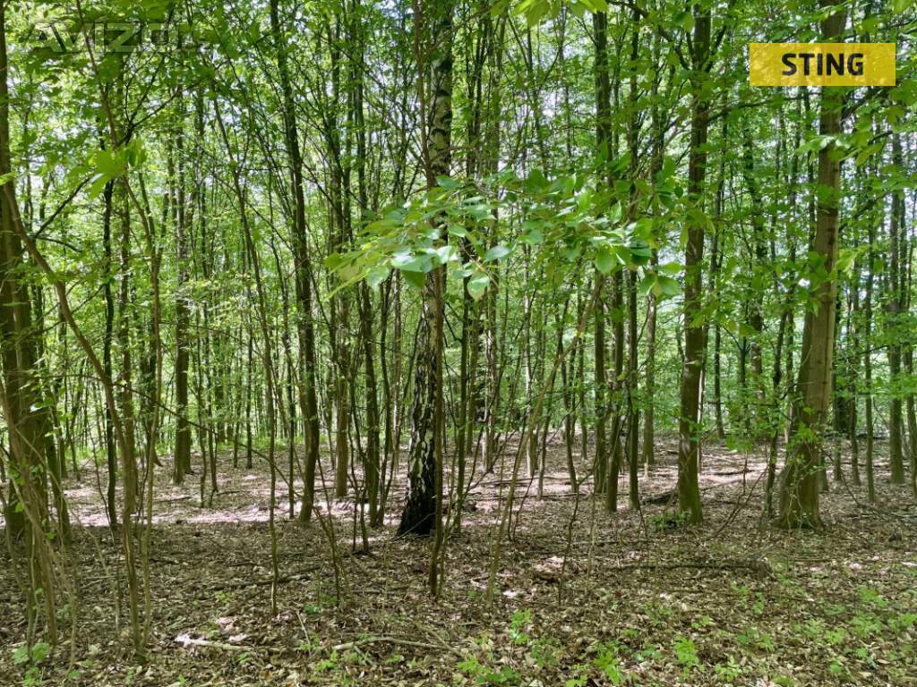 Foto inzerátu Prodej, Pozemky zemědělské a lesní, 16440 m2