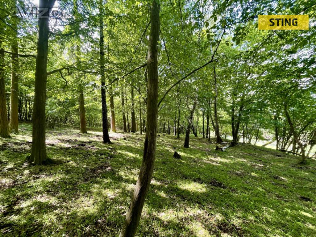 Foto inzerátu Prodej, Pozemky zemědělské a lesní, 16440 m2