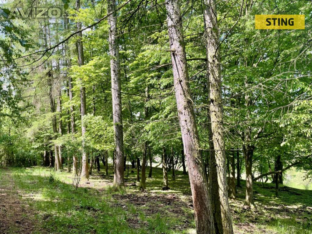 Foto inzerátu Prodej, Pozemky zemědělské a lesní, 16440 m2