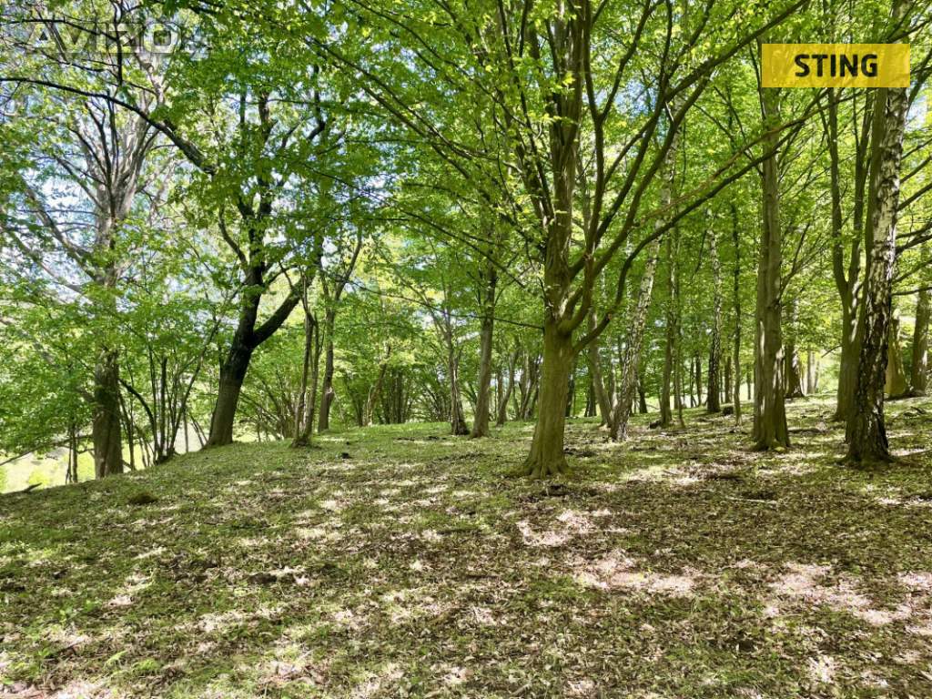 Foto inzerátu Prodej, Pozemky zemědělské a lesní, 16440 m2