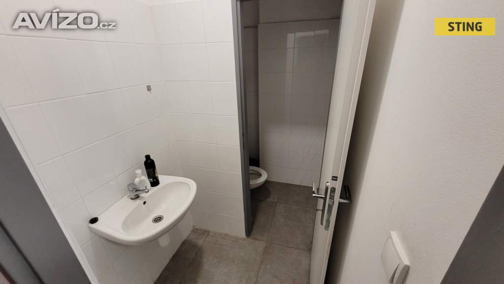 Foto inzerátu Pronájem, prodejny, 254 m2
