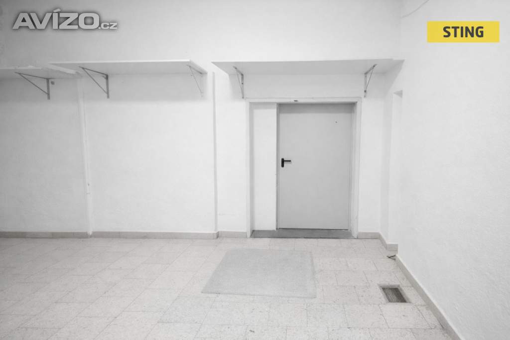 Foto inzerátu Pronájem, prodejny, 254 m2