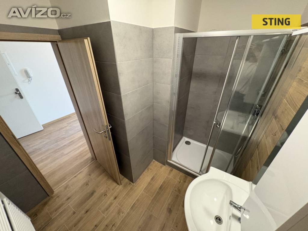 Foto inzerátu Pronájem, byt 1+kk, 47 m2