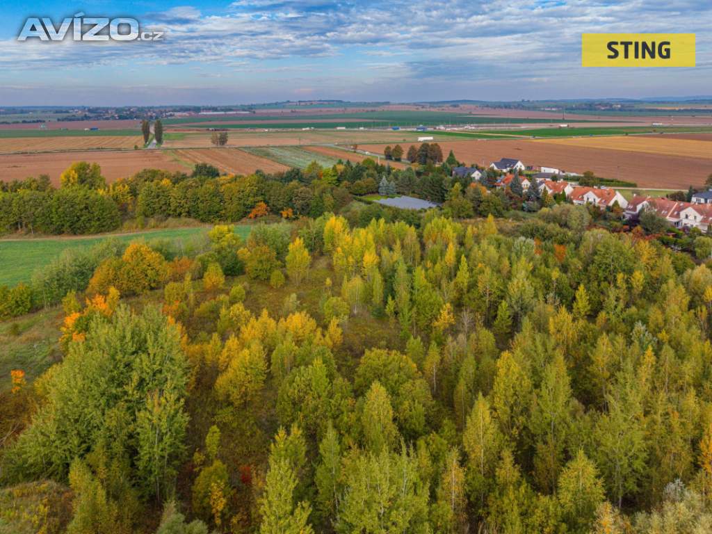 Foto inzerátu Prodej, Pozemky pro bydlení, 63998 m2