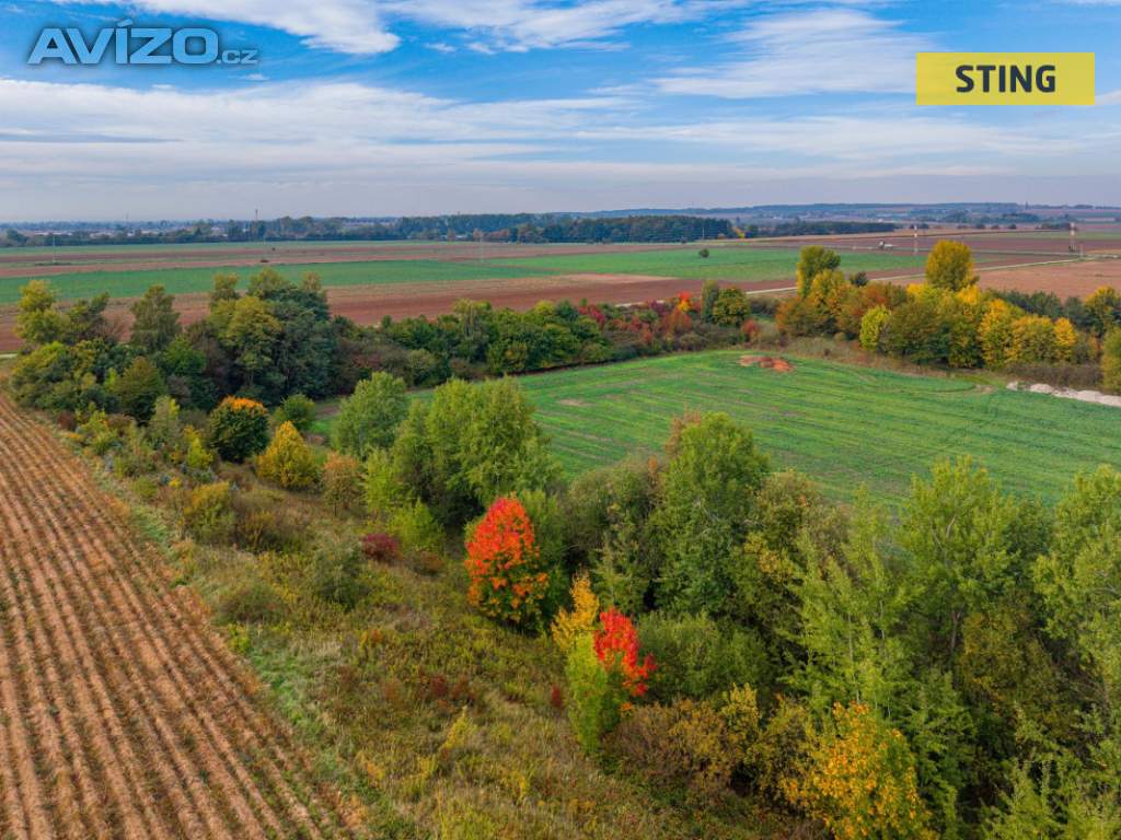 Foto inzerátu Prodej, Pozemky pro bydlení, 63998 m2