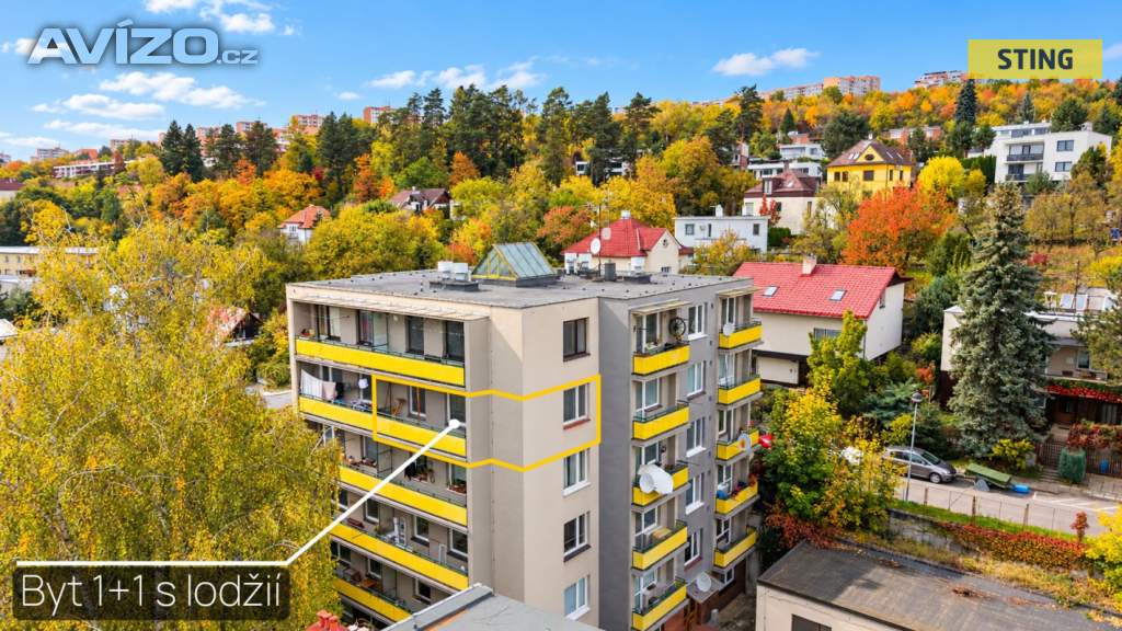 Prodej, byt 1+1, 43 m2
