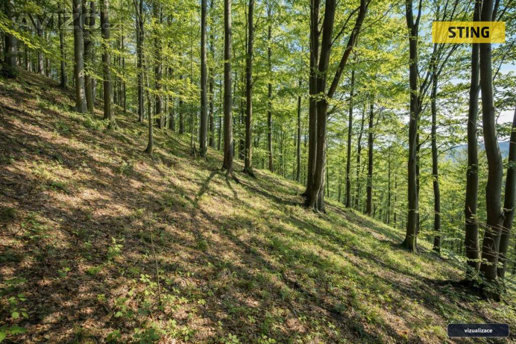 Foto inzerátu Prodej, chata, 62 m2