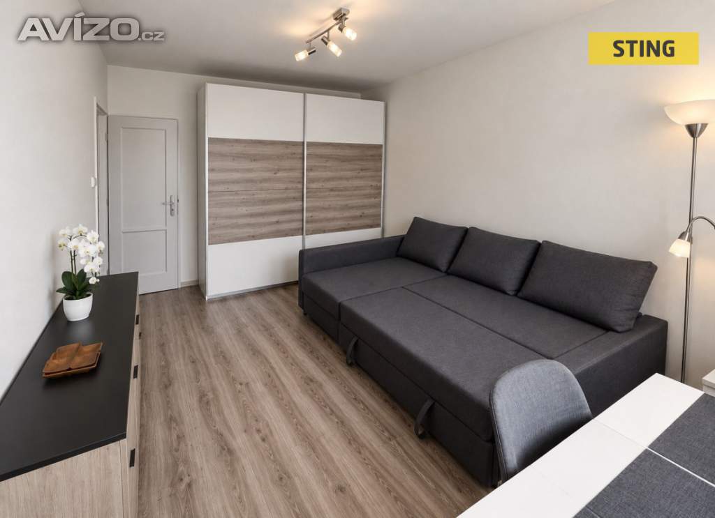 Foto inzerátu Pronájem, byt 1+1, 29 m2