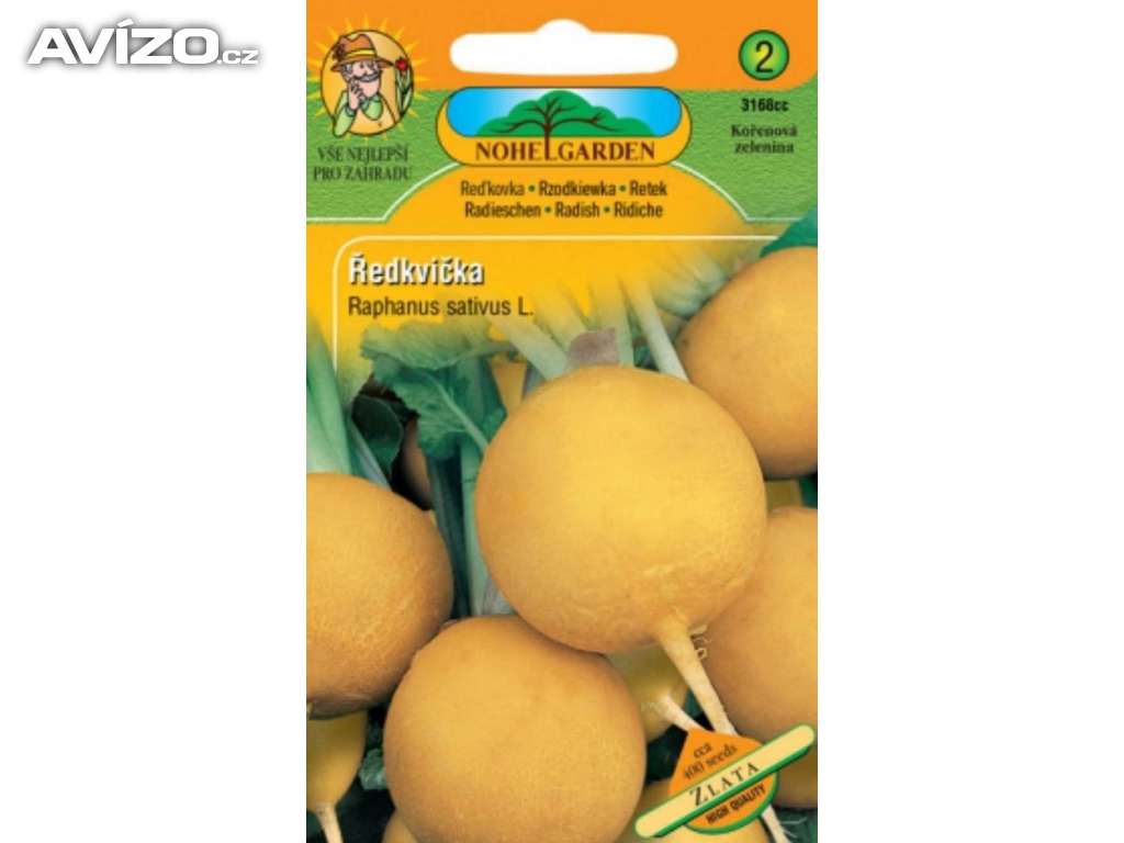 Ředkvička kulatá, Zlatá / www.levna-semena.cz