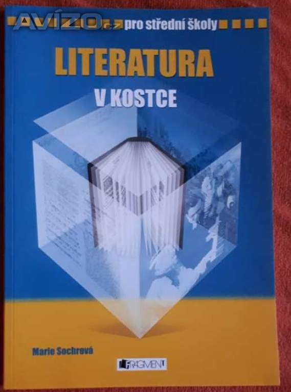 Literatura v kostce