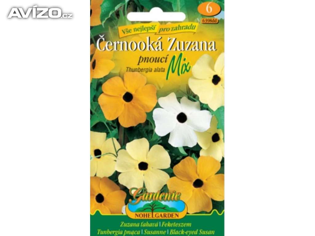 Černooká pnoucí, Zuzana (semena)  www.levna-semena.cz