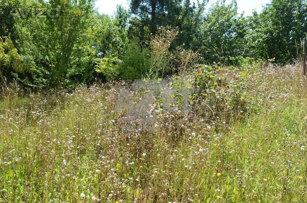 Foto inzerátu Prodej rodinného domu, 5+1, 696 m2,  Obědné