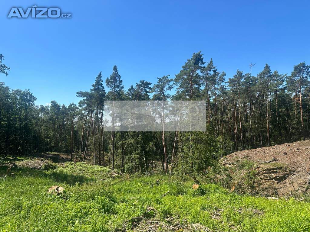 Prodej lesa 27933 m² Nebužely