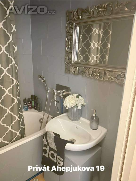 Foto inzerátu JSEM TADY NOVÁ 