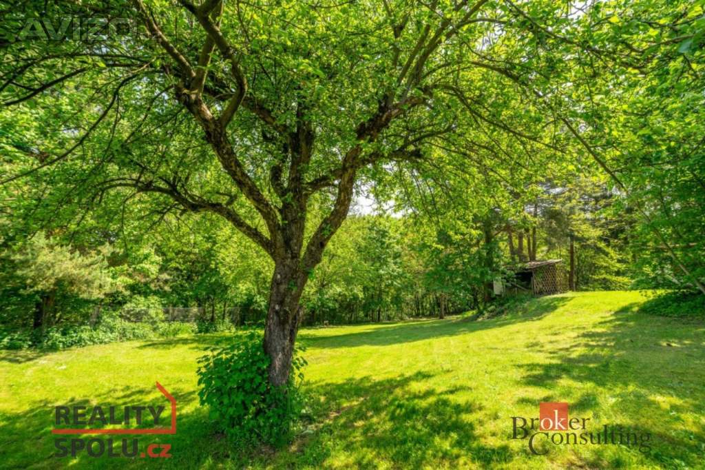 Foto inzerátu Prodej ostatní pozemky, 4 878 m2 - Říčany