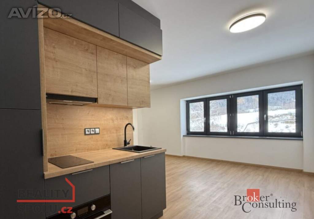 Prodej byty 2+kk, 85 m2 - Loučná nad Desnou - Rejhotice