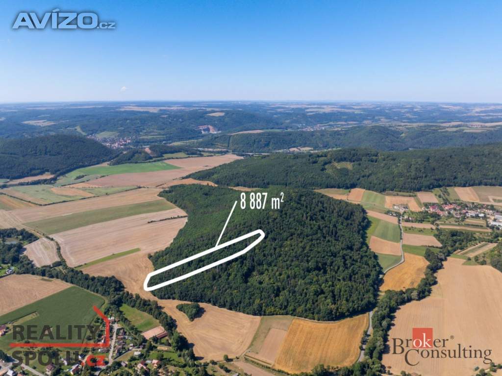 Prodej lesa 8 887 m2, Lomnička