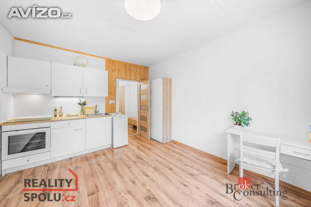 Pronájem bytu 1+kk 19 m², Plzeň