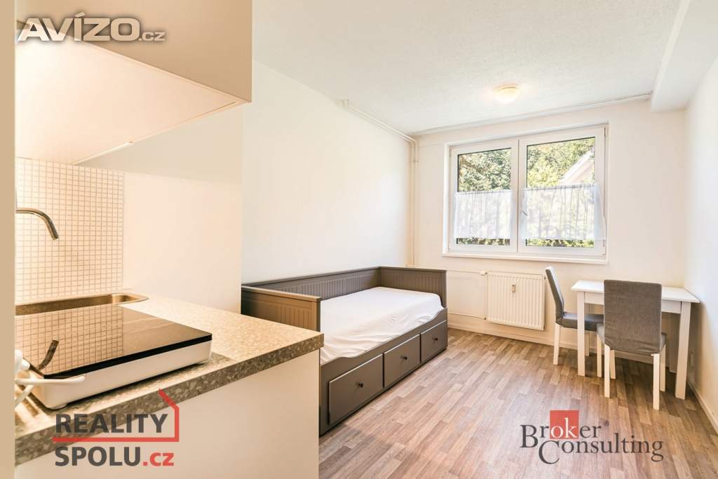 Pronájem bytu 1+kk 19 m², Brno