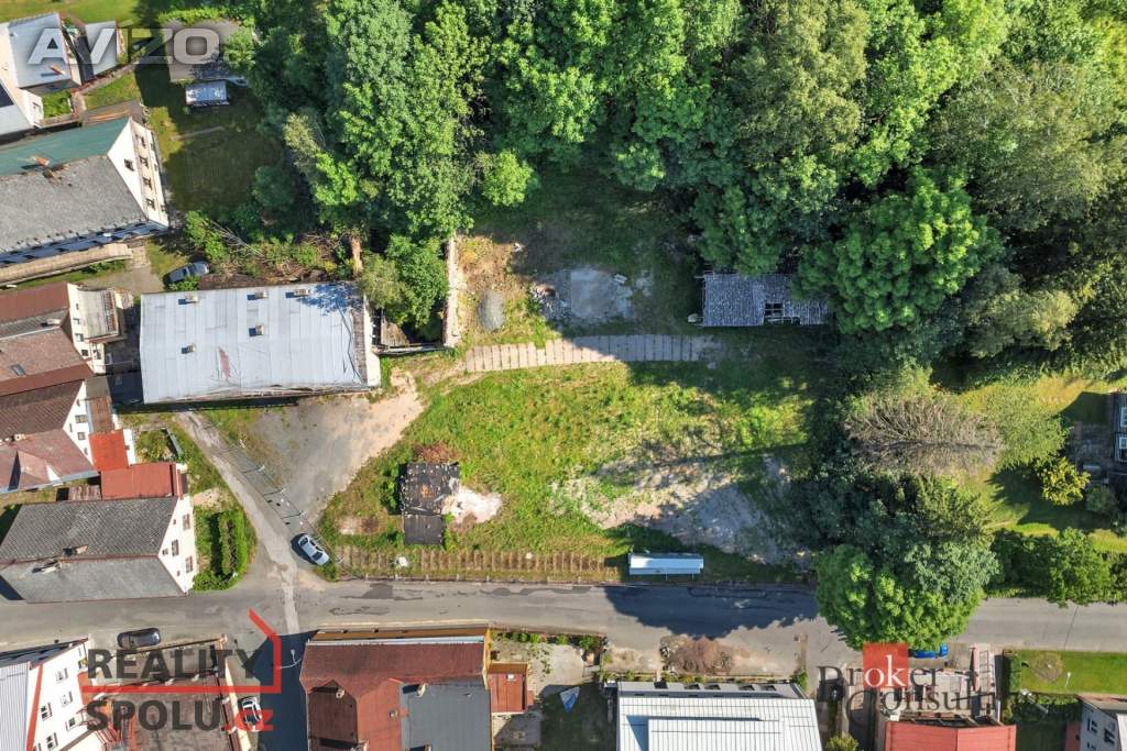 Foto inzerátu Prodej komerčního pozemku 2 963 m², Olešnice v Orlických horách