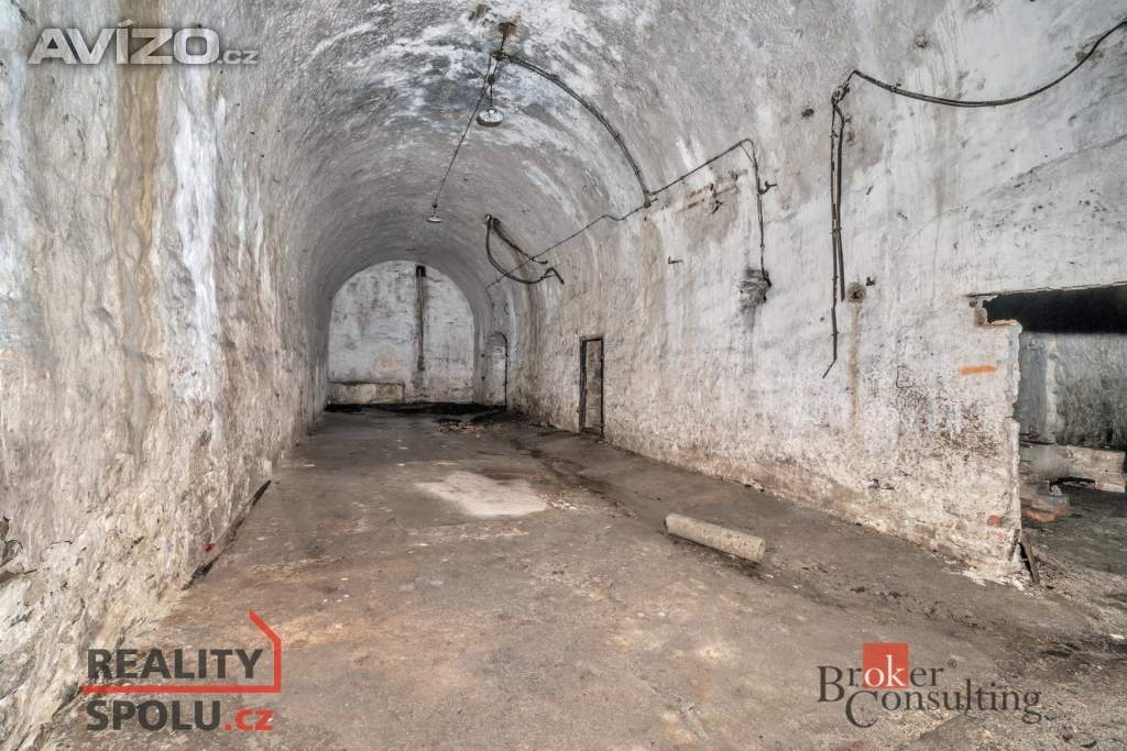 Foto inzerátu Prodej komerčního pozemku 2 963 m², Olešnice v Orlických horách