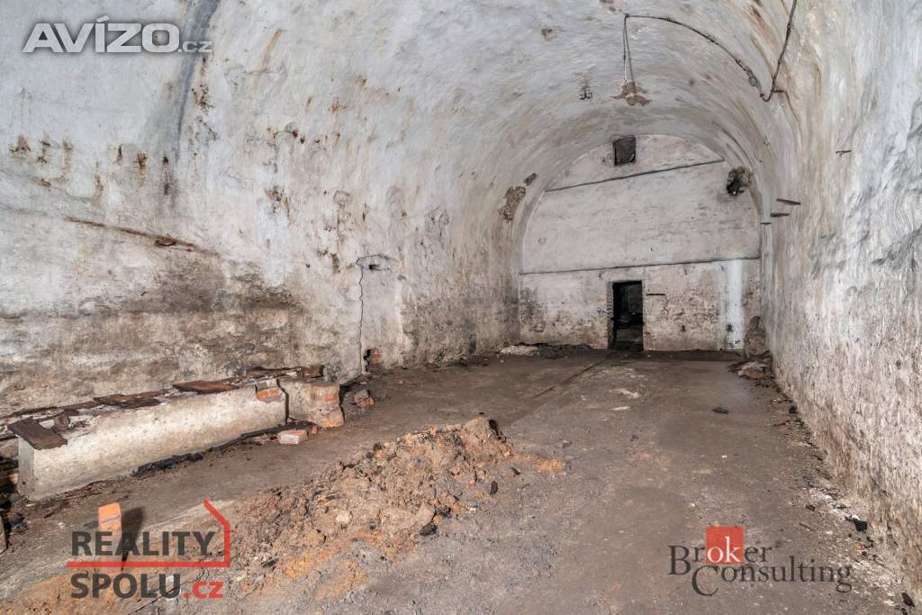 Foto inzerátu Prodej komerčního pozemku 2 963 m², Olešnice v Orlických horách