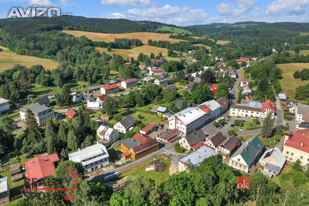 Foto inzerátu Prodej stavebního pozemku 2 963 m², Olešnice v Orlických horách