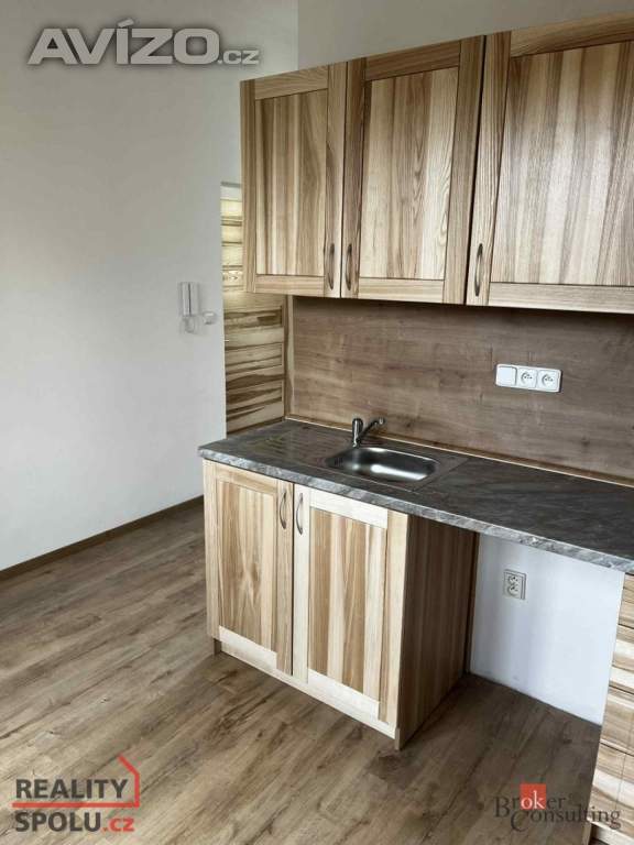 Foto inzerátu Pronájem bytu 1+kk 16 m², Horní Benešov