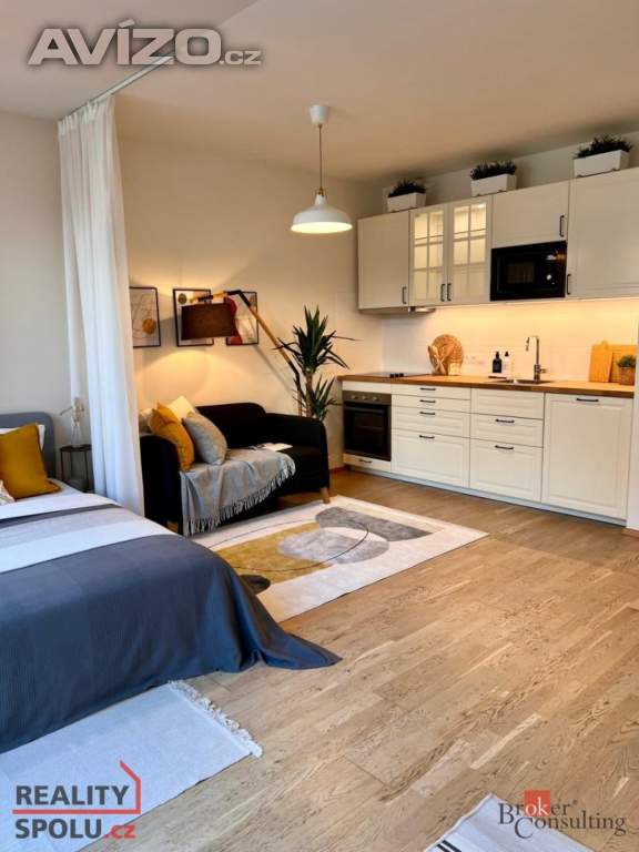 Pronájem bytu 1+kk 41 m², Praha