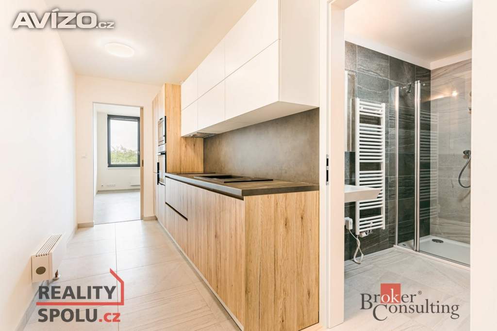 Pronájem bytu 1+1 54 m², Rosice