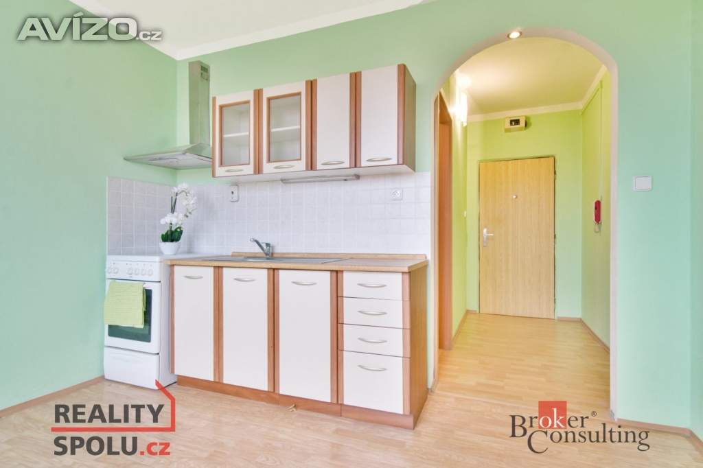 Prodej bytu 1+1 37 m², Písek