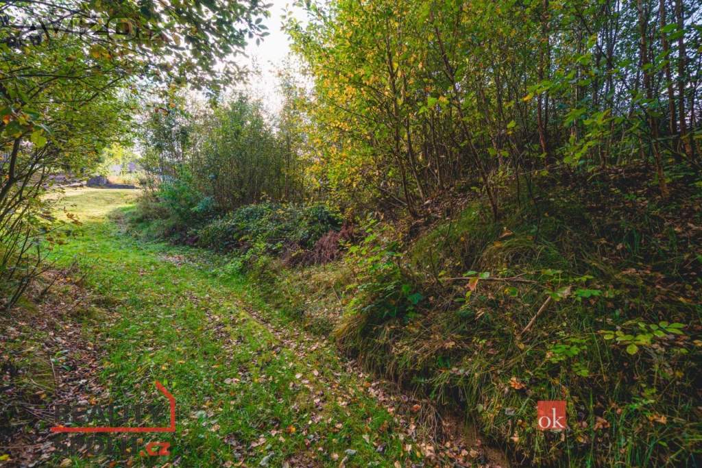 Foto inzerátu Prodej stavebního pozemku 607 m², Železná Ruda