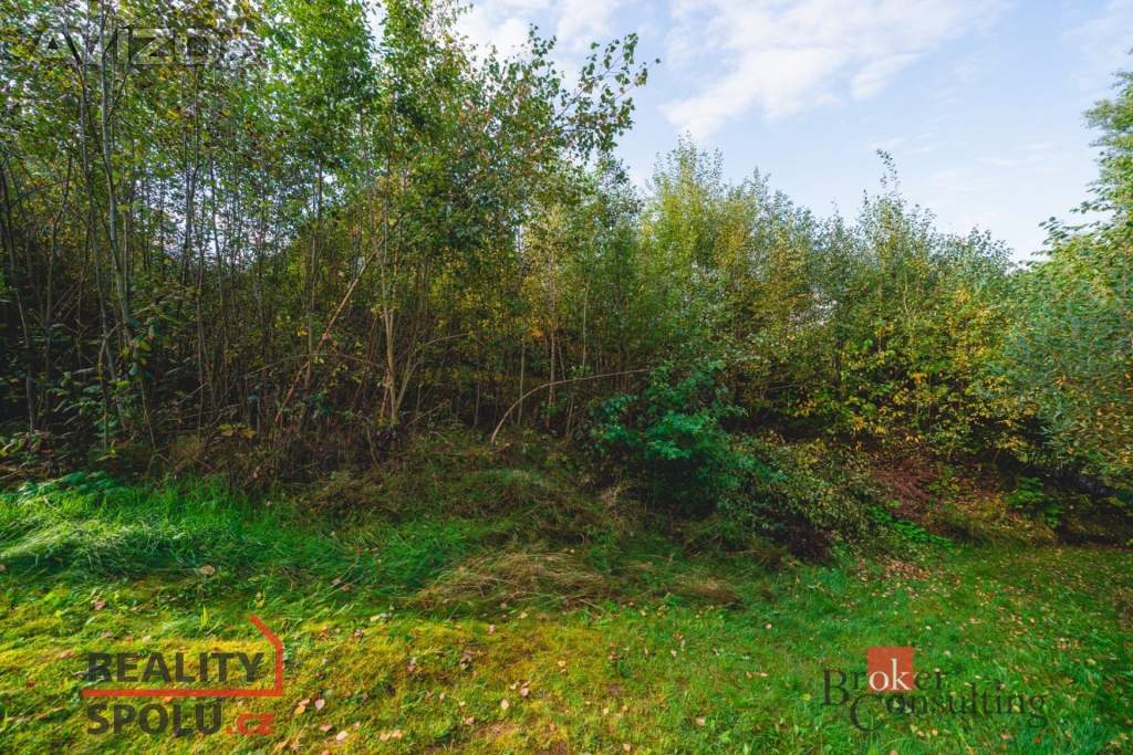 Foto inzerátu Prodej stavebního pozemku 607 m², Železná Ruda