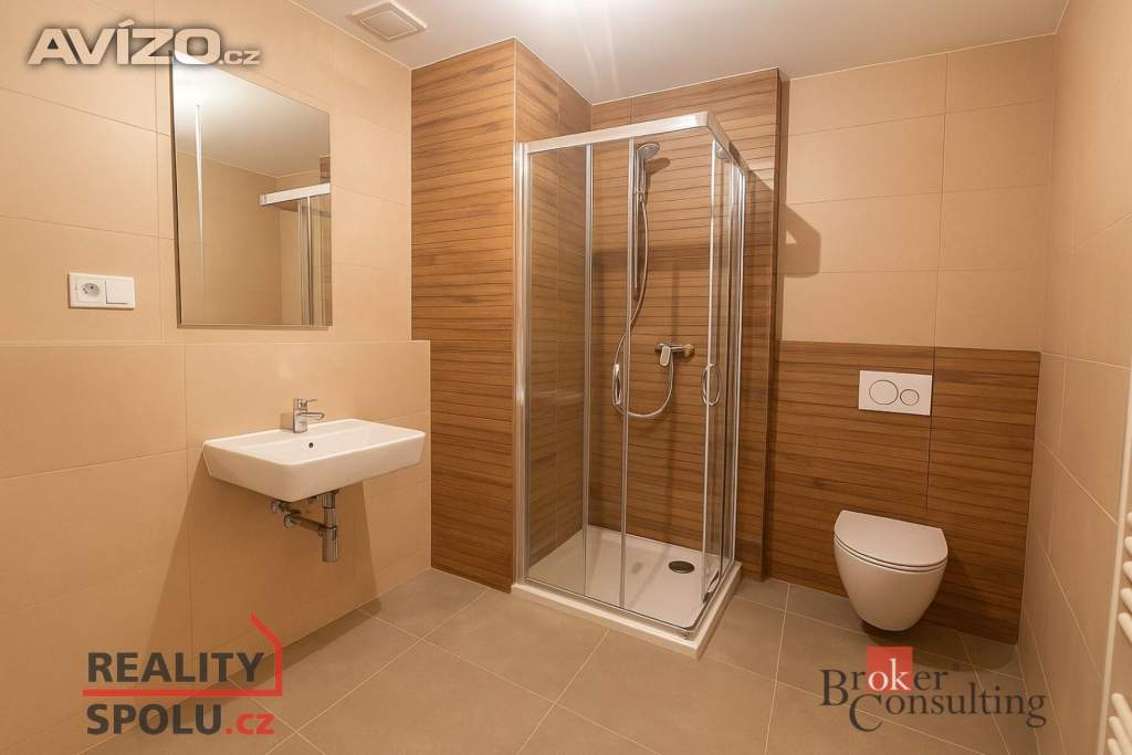 Foto inzerátu Pronájem bytu 1+kk 49 m², Plzeň