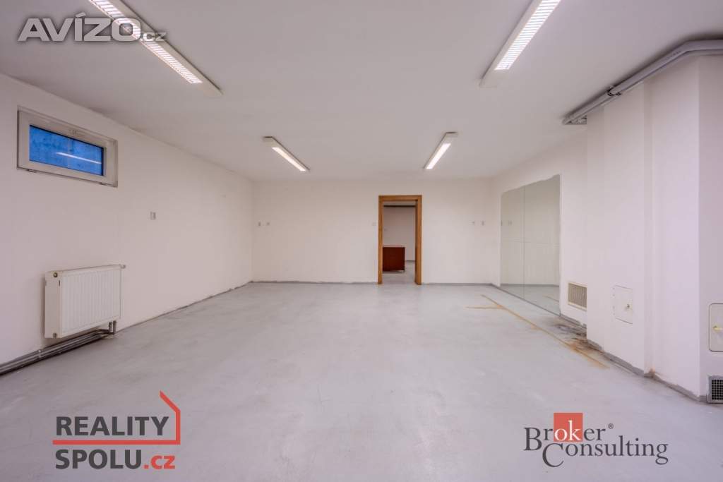 Foto inzerátu Pronájem vily 369 m², Dolní Břežany