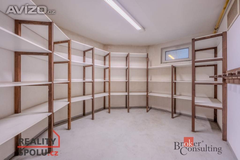 Foto inzerátu Pronájem vily 369 m², Dolní Břežany